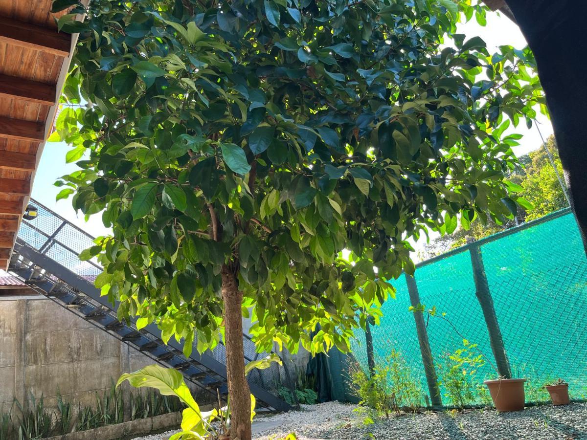 Apartamento Mango Y Cafe Lagunilla  ภายนอก รูปภาพ